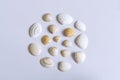 Group of seashells on white table in nice composition 1 Royalty Free Stock Photo