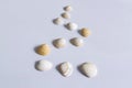 Group of seashells on white table in nice composition 3 Royalty Free Stock Photo