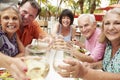 Group Of Senior Friends Enjoying Meal In Outdoor Restaurant Royalty Free Stock Photo