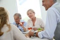 Group of senior friends having meal together Royalty Free Stock Photo
