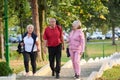 A group of senior friends takes a well-deserved break in nature, fostering not only fitness but also camaraderie and a Royalty Free Stock Photo