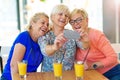 Group of senior friends taking a selfie Royalty Free Stock Photo