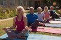 Group of senior people performing yoga in the park