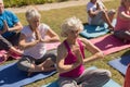 Group of senior people performing yoga in the park Royalty Free Stock Photo