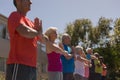 Group of senior people performing yoga in the park Royalty Free Stock Photo