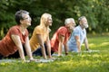 Group of senior people practicing morning yoga in park Royalty Free Stock Photo