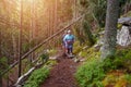 Group of senior tourists hiking in rainy forest