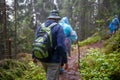 Group of senior tourists hiking in rainy forest