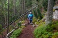 Group of senior tourists hiking in rainy forest