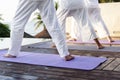 Group of seniors practicing yoga in the morning Royalty Free Stock Photo