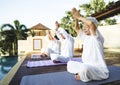 Group of seniors practicing yoga in the morning Royalty Free Stock Photo