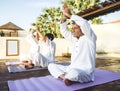 Group of seniors practicing yoga in the morning Royalty Free Stock Photo