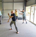 Group of elderly senior people practicing Tai chi class in age care gym facilities Royalty Free Stock Photo