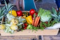 Group set of fresh vegetables. Fresh vegetables and fruits. Royalty Free Stock Photo