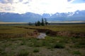 A group of several pines on the banks of a small river flowing in a canyon across the steppe to the mountain ranges covered with