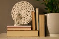 Group of several reading books on grey background and accompanied by lantern and candle, with white pot and green plant Royalty Free Stock Photo
