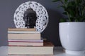 Group of several reading books on grey background with mandala and green plant Royalty Free Stock Photo