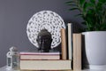 Group of several reading books on grey background with white mandala and green plant Royalty Free Stock Photo
