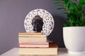 Group of several reading books on grey background with white mandala and green plant Royalty Free Stock Photo