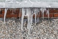 A group of sharp white transparent icicles is hanging down from the gray roof with ice of a building from red bricks and white Royalty Free Stock Photo