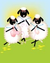 Group of sheeps