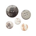 Group Shell Buttons isolate on white background. Royalty Free Stock Photo