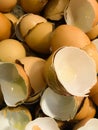 Group of Shell eggs .Eggs Shell background. Royalty Free Stock Photo