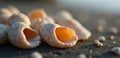 A group of shells laying on top of a sandy beach Royalty Free Stock Photo