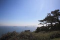 A group of ships with staff on Furlough Royalty Free Stock Photo