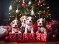 Group shot of cute beagles puppies with Christmas theme sitting underneath the Christmas tree decorated with Christmas presents