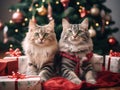 Group shot of cute Santa cats and kittens with Christmas theme sitting underneath the Christmas tree Royalty Free Stock Photo