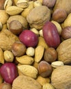 Mixed nuts Royalty Free Stock Photo