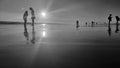 A group of silhouetted people standing in a row on a sand beach Royalty Free Stock Photo