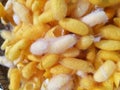 Group of silk case worm cocoons nests color yellow and white. cocoon silkworm prepare for make thread. Royalty Free Stock Photo