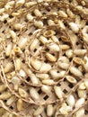 Group of silk worm cocoons nests Royalty Free Stock Photo