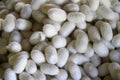 Group of silk worm cocoons nests Royalty Free Stock Photo