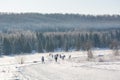 Group of skiers slide from the mountain. The skier to slide on the mountain. Skier and skis.