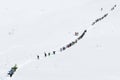 Group of skiers and snowboarders climbing the mountain for freeride