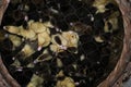 Group of small chicks sold in a basket in a wet market