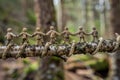 A group of small figurines linked together, holding hands while standing on a rope, Building trust and camaraderie through