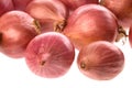Group of small onions