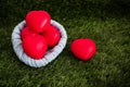 Group of small red heart put on green grass