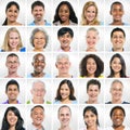 Group of Smiling People in a Row Royalty Free Stock Photo