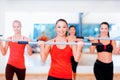 Group of smiling people working out with barbells Royalty Free Stock Photo