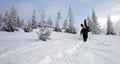 A group of snowboarders walking Royalty Free Stock Photo