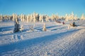 Group of snowmobiles in Lapland, near Saariselka Finland