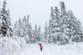 Group of some people on winter hike in mountains, backpackers walking on snowy forest Royalty Free Stock Photo