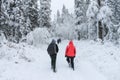 Group of some people on winter hike in mountains, backpackers walking on snowy forest Royalty Free Stock Photo