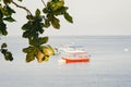 Speed boat for island hoping activities moored Royalty Free Stock Photo