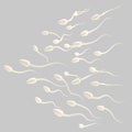 Group of spermatozoon